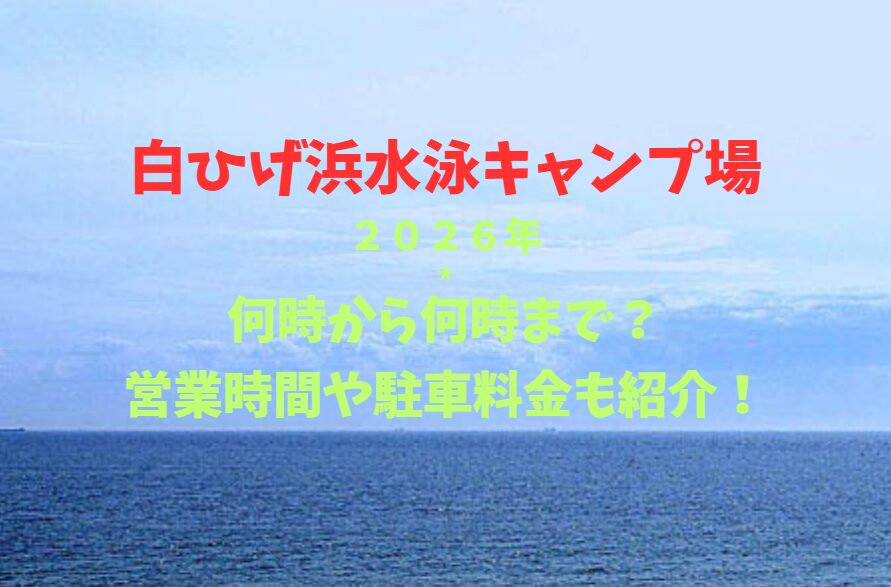 【白ひげ浜水泳キャンプ場】2026！何時から何時まで？営業時間や駐車場も詳しく紹介！